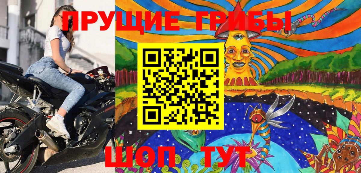 Менделеевск  Псилоцибиновые грибы мицелий  Вход с VPN  Галлюциногенные грибы Cubensis 