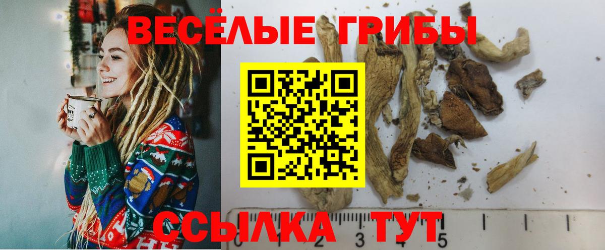 Галлюциногенные грибы ЛСД Менделеевск